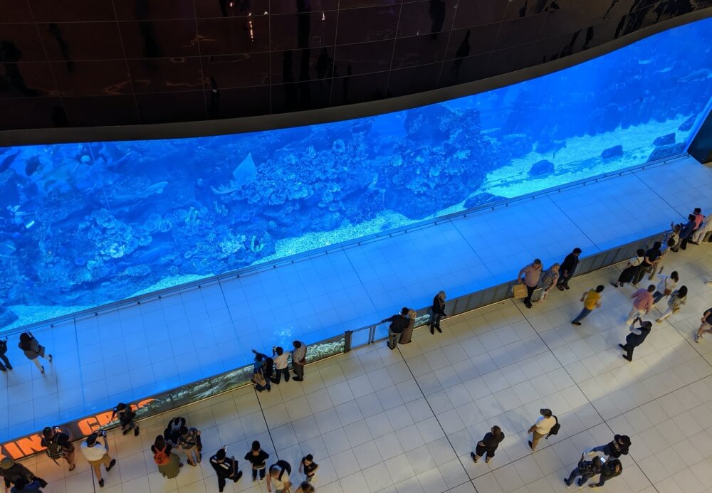 ドバイ水族館 で見つけたおすすめのお土産をご紹介します 現地レポート オミィ 海外旅行編