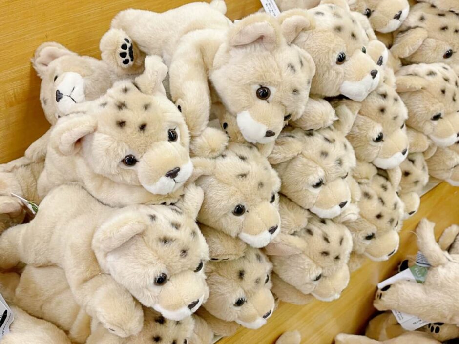 富士サファリパークのおすすめお土産ランキング5選【現地レポート】